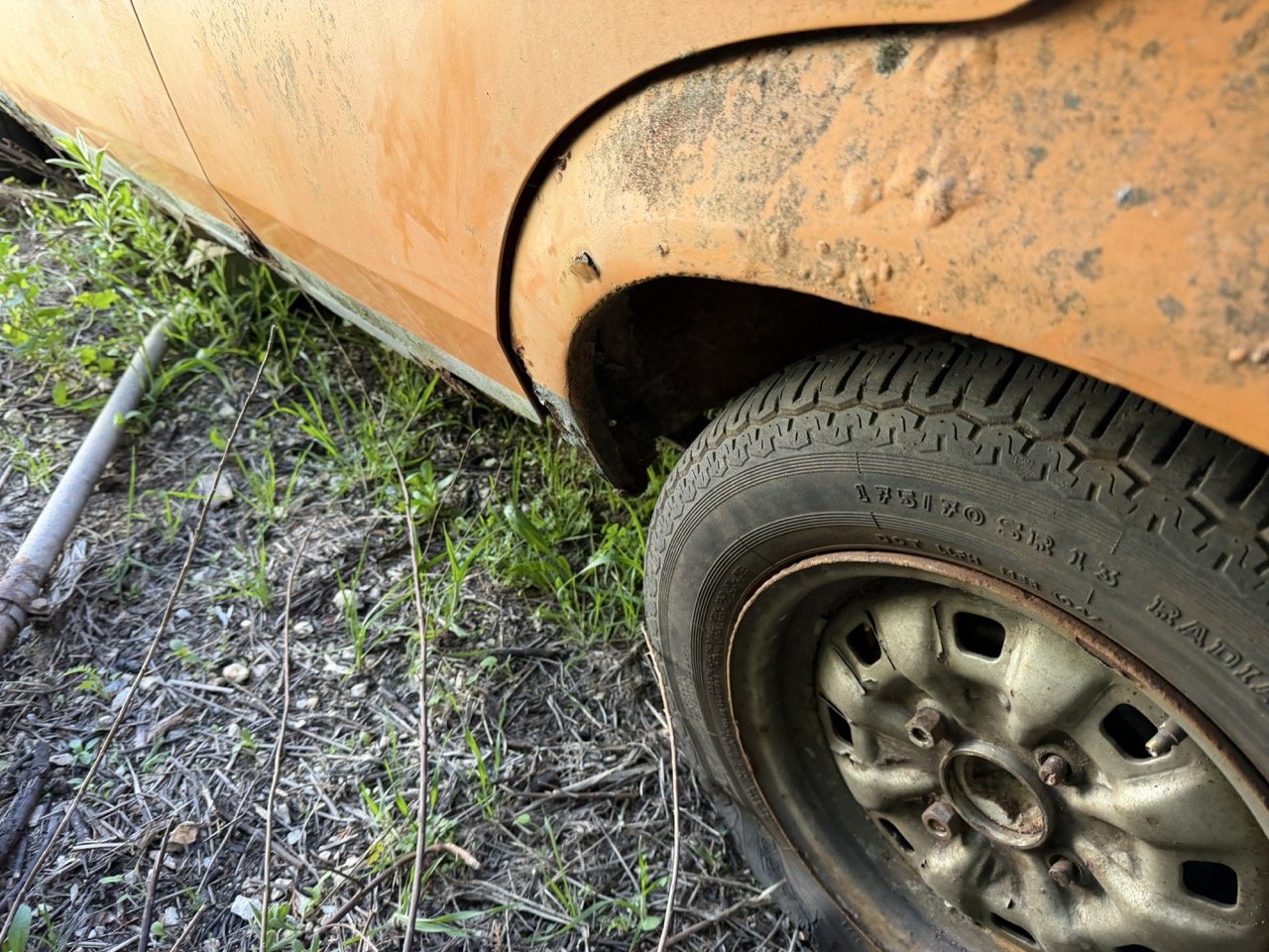 IMG_7700 – grande.jpeg