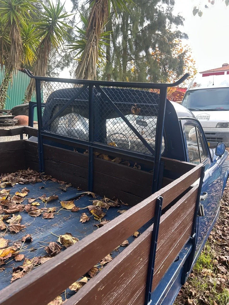 1bf2a9f3-bfee-474e-9cf1-88802d1b431f – grande.jpeg