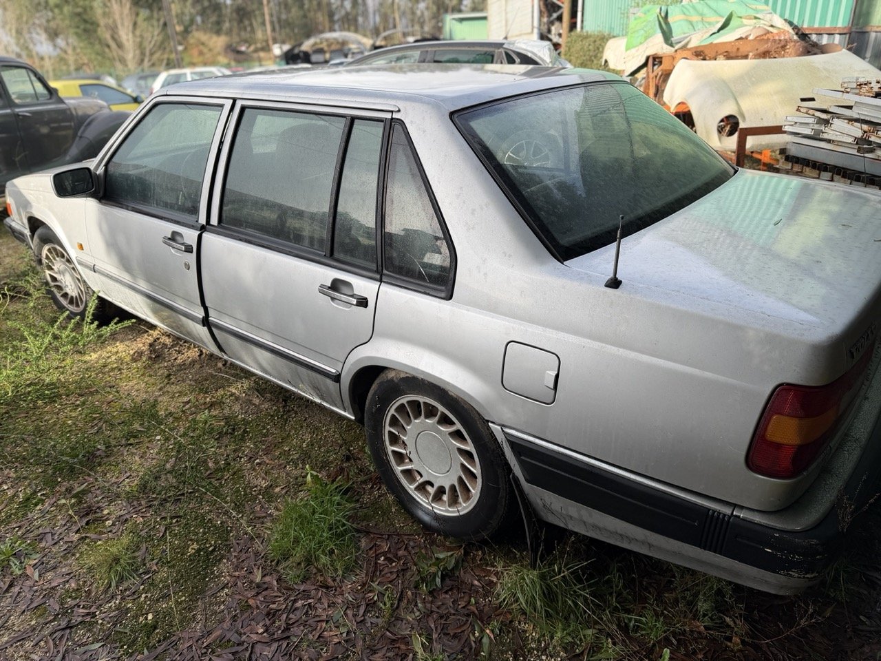 IMG_5738 – grande.jpeg