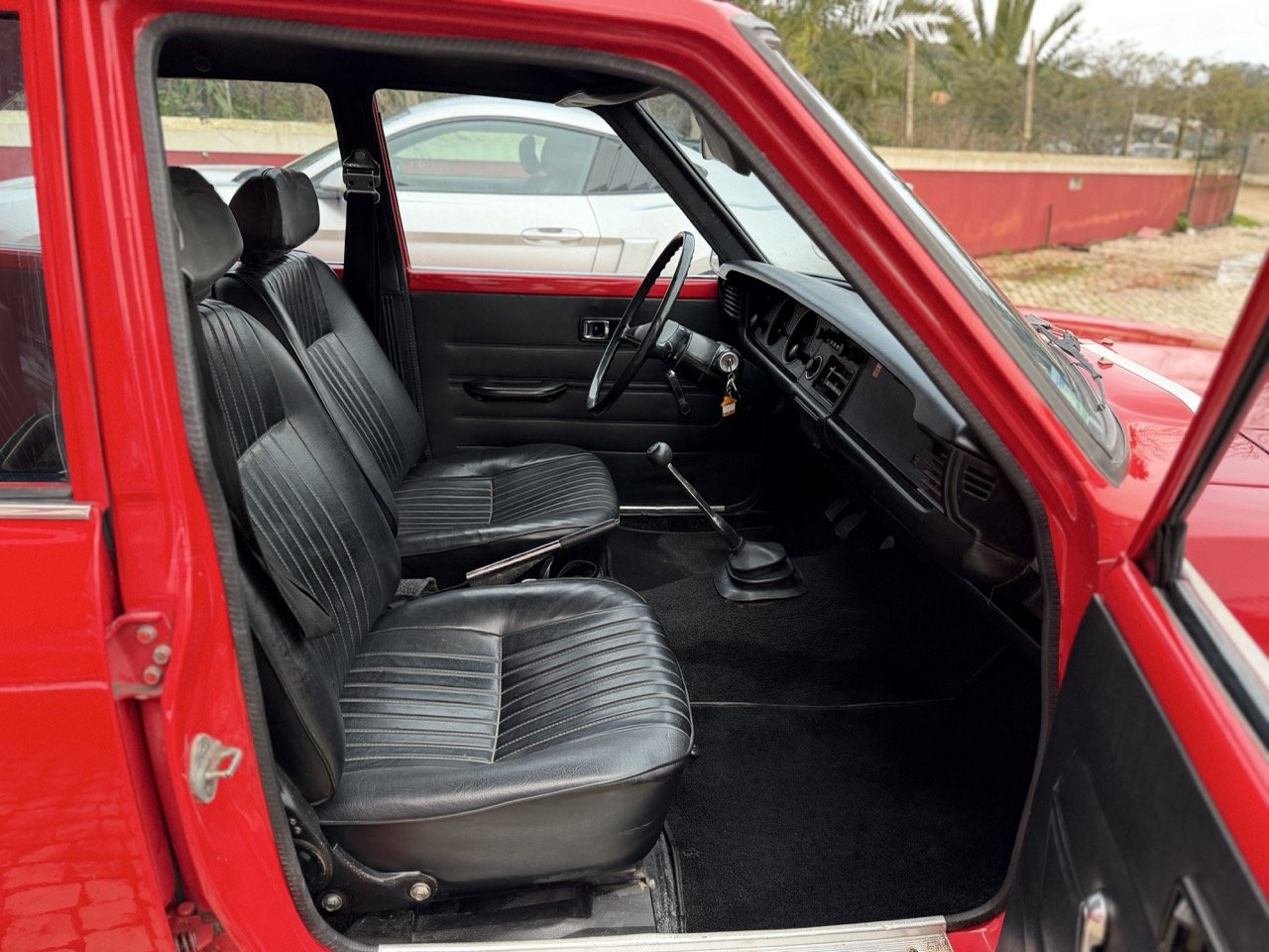 IMG_8231 – grande.jpeg