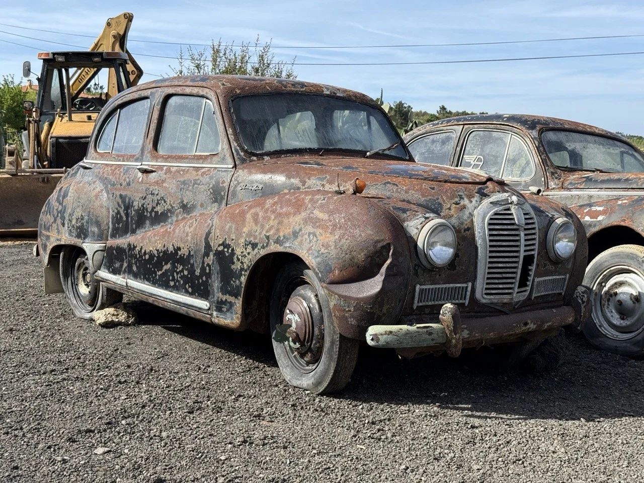 IMG_0427 – grande.jpeg