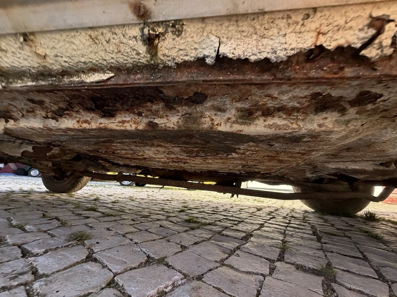 IMG_7080 – grande.jpeg