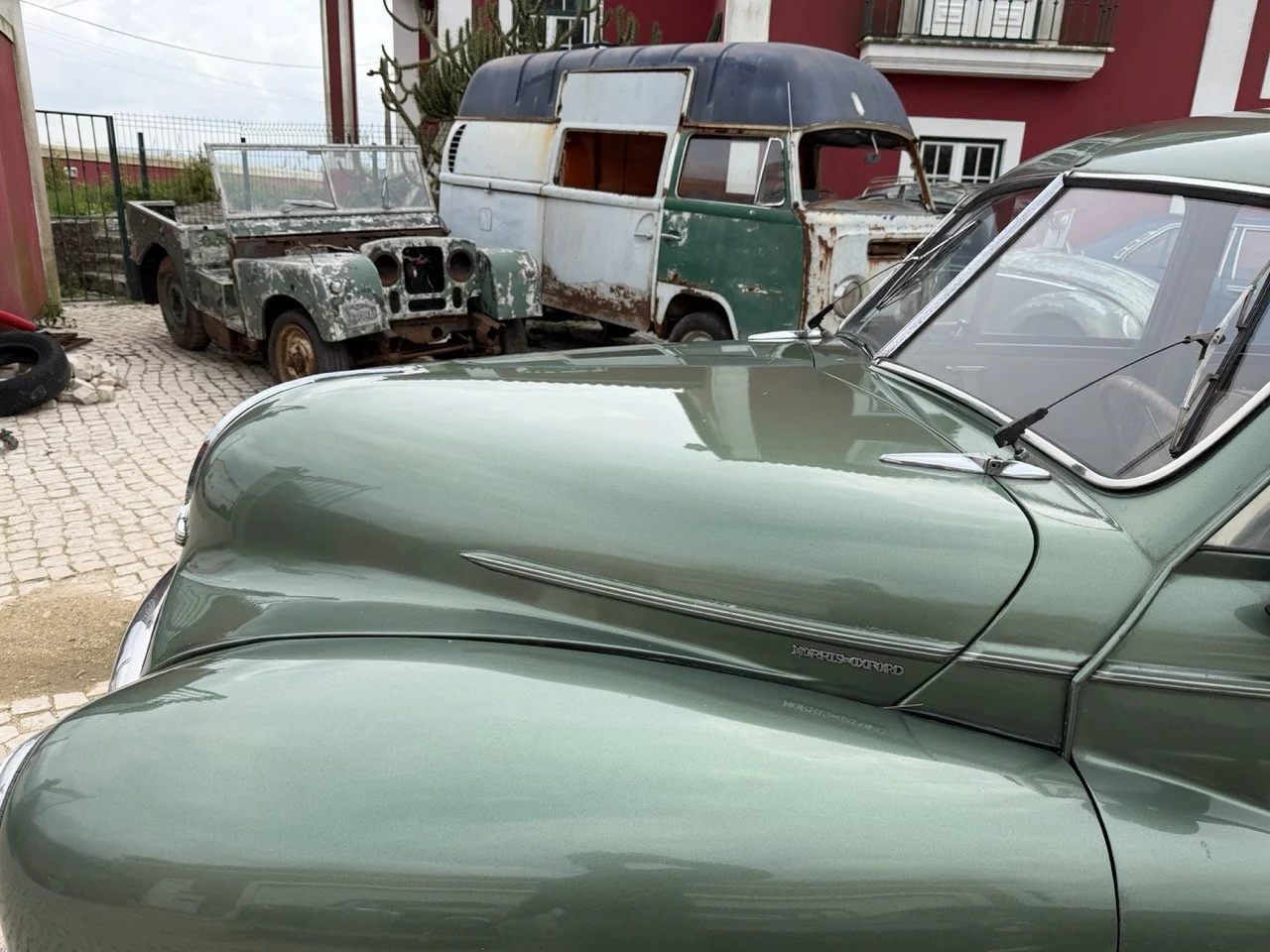 IMG_9881 – grande.jpeg