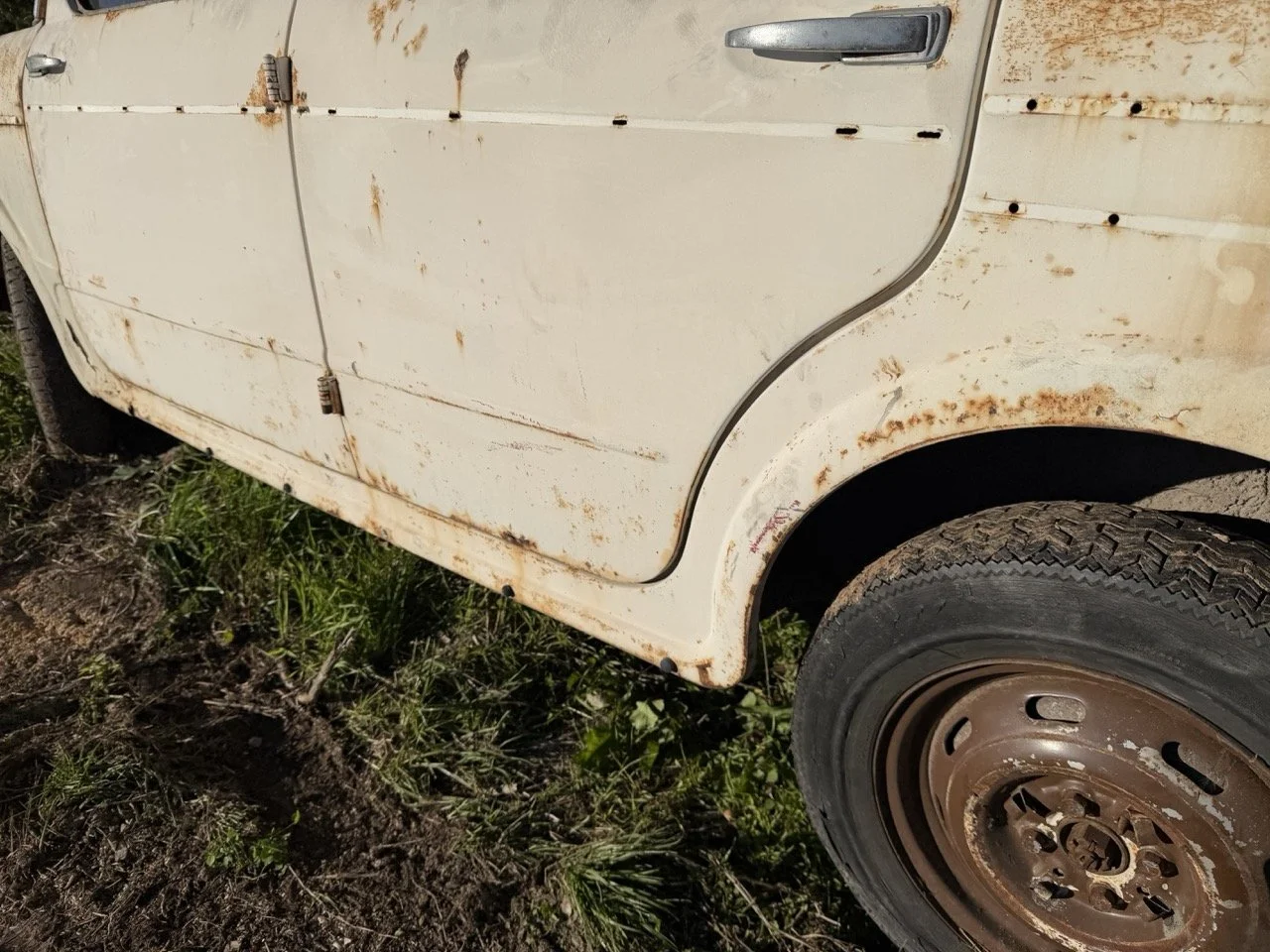 IMG_2515 – grande.jpeg