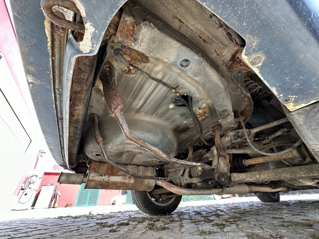 IMG_7250 – grande.jpeg