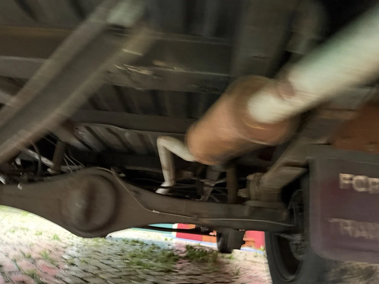 IMG_9987 – grande.jpeg