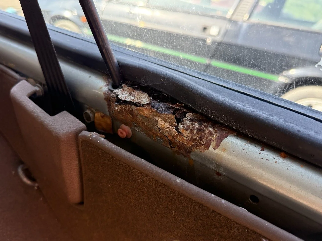 IMG_1202 – grande.jpeg