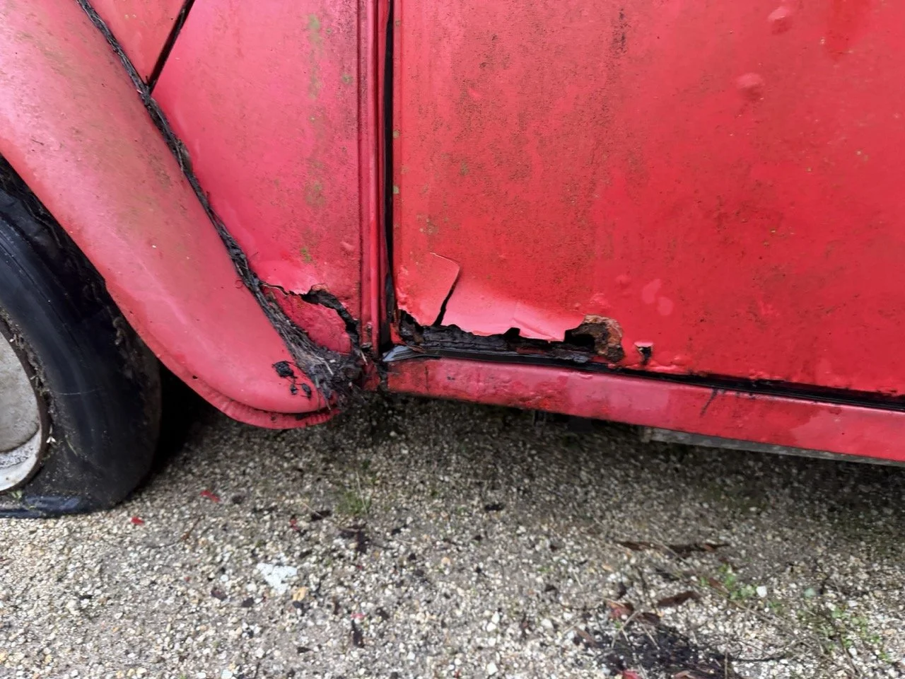 IMG_5488 – grande.jpeg