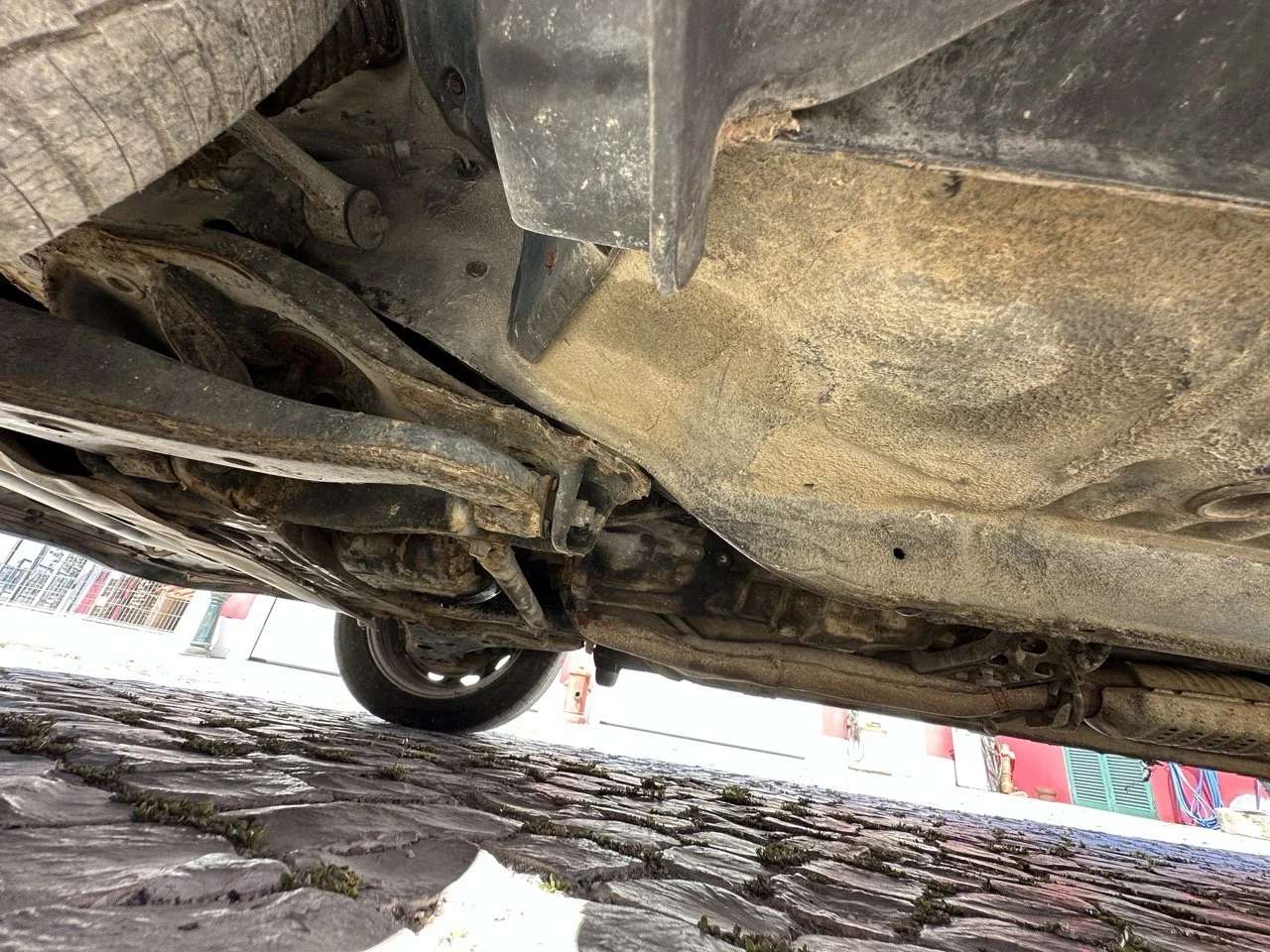 IMG_3121 – grande.jpeg