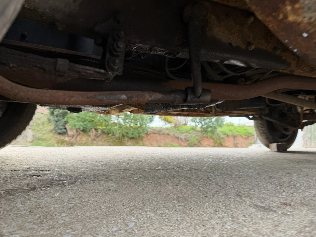 IMG_1661 – grande.jpeg