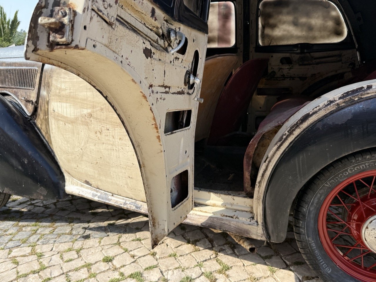 IMG_3730 – grande.jpeg