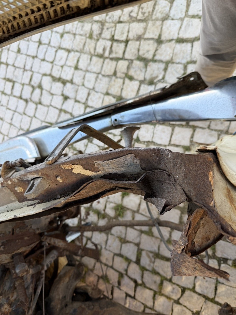 IMG_7100 – grande.jpeg