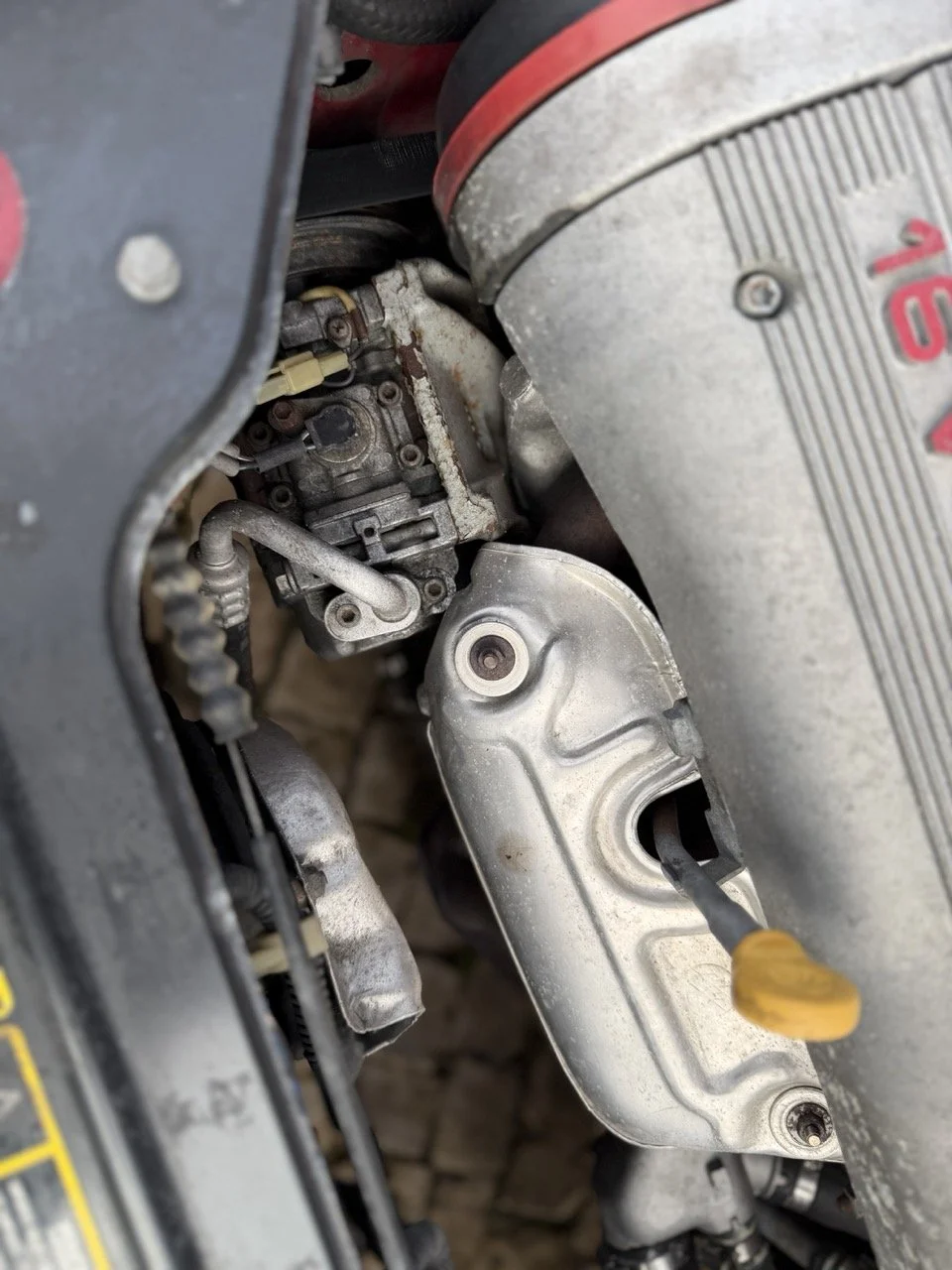 IMG_2272 – grande.jpeg