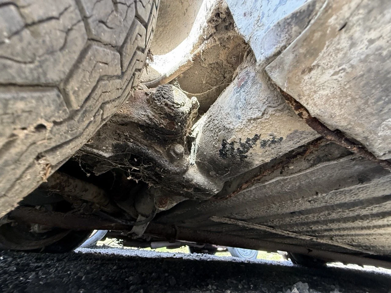 IMG_0531 – grande.jpeg