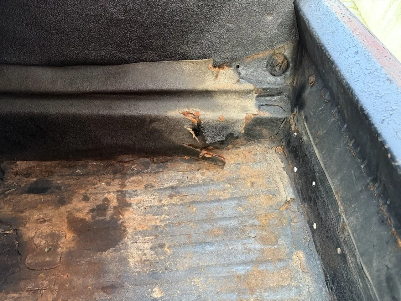 IMG_5945 2 – grande.jpeg