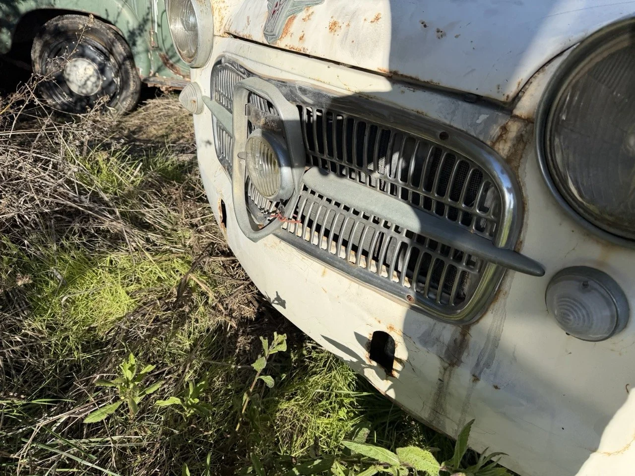 IMG_2523 – grande.jpeg