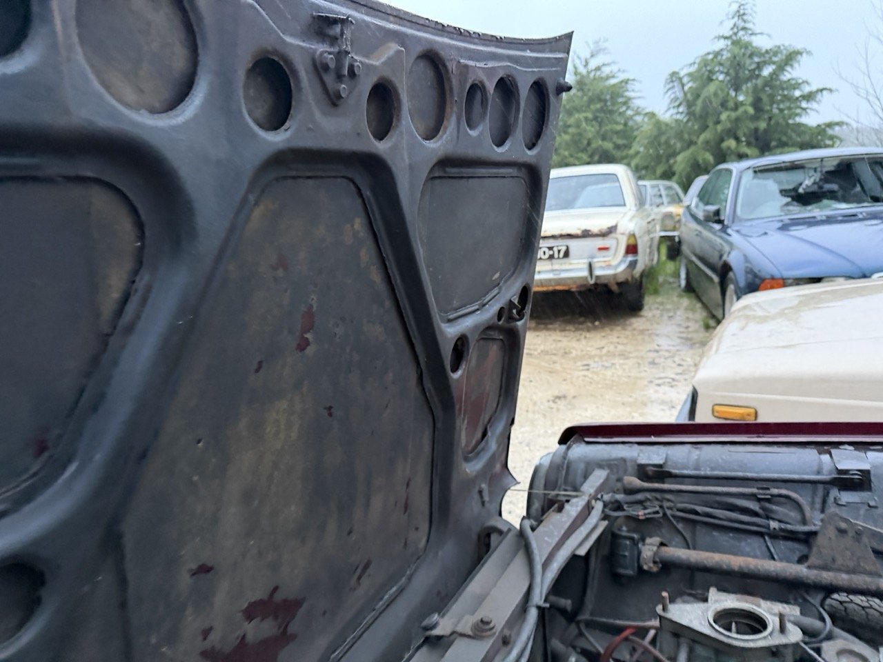 IMG_0307 – grande.jpeg