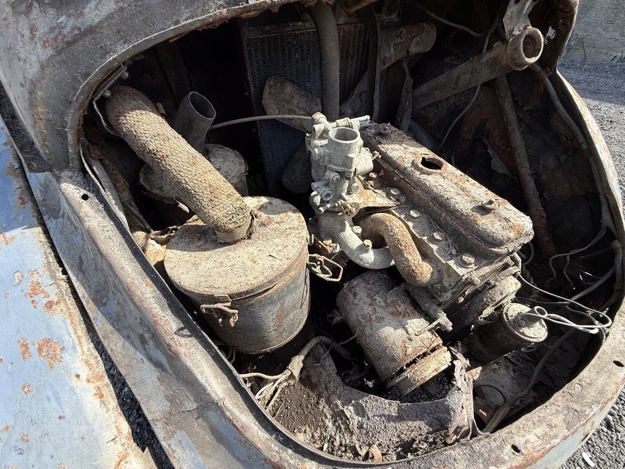 IMG_0309 – grande.jpeg