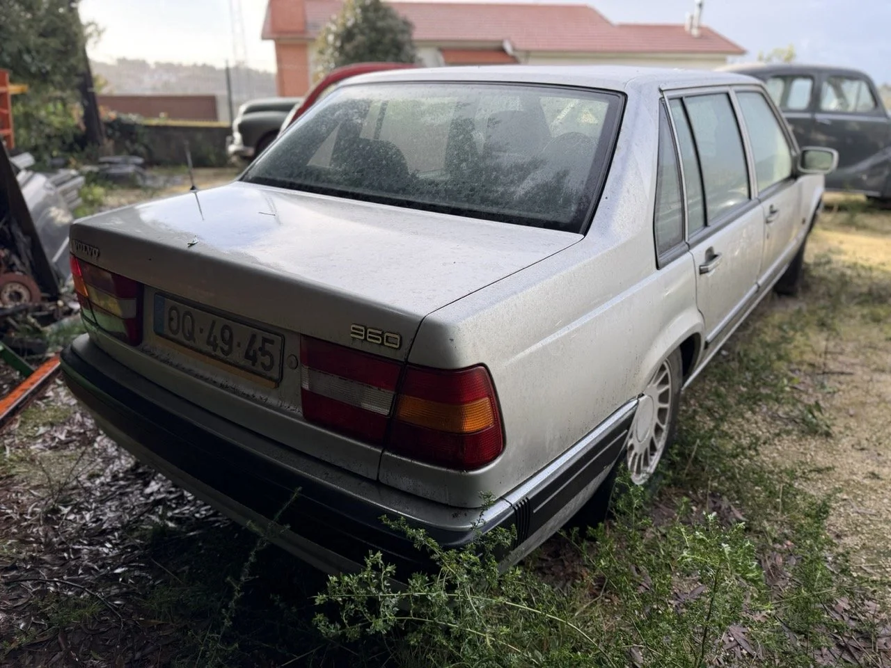 IMG_5741 – grande.jpeg