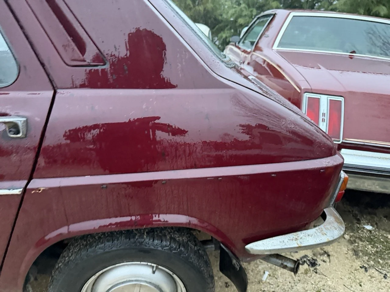 IMG_0282 – grande.jpeg