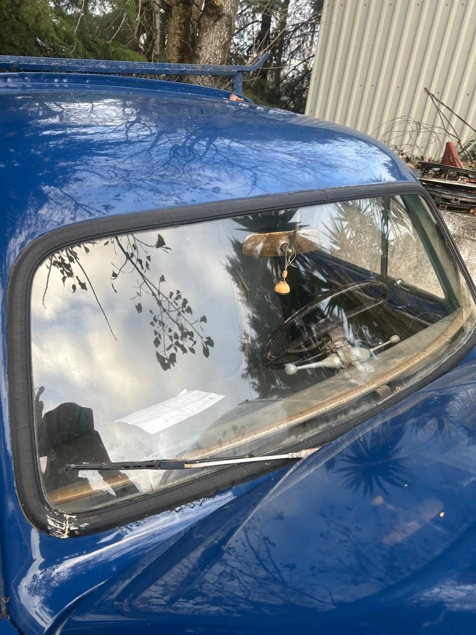 d0359097-85eb-4819-bdcc-465ad4c81ae8 – grande.jpeg