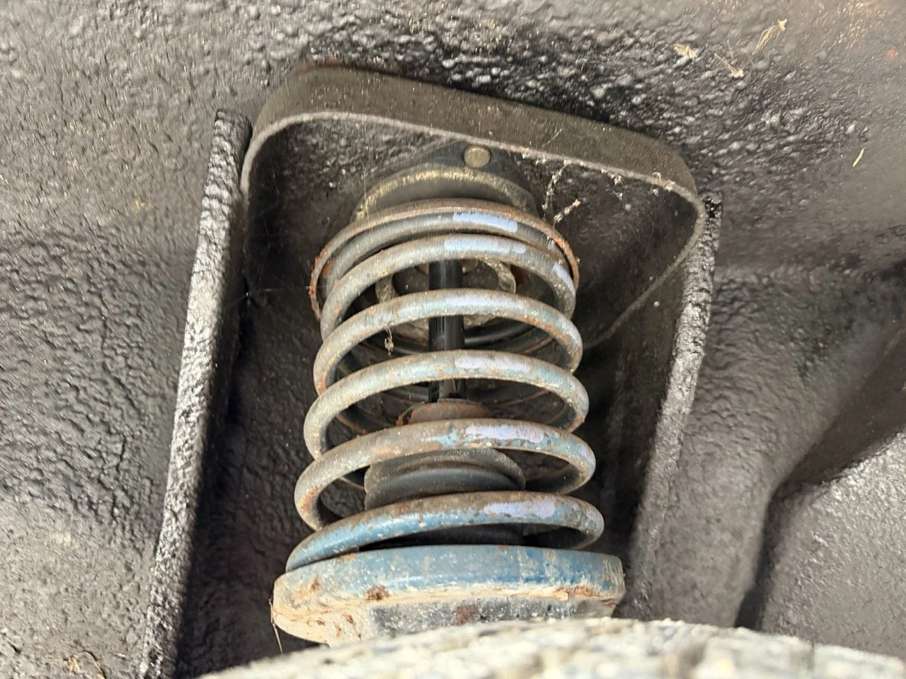 IMG_6358 – grande.jpeg