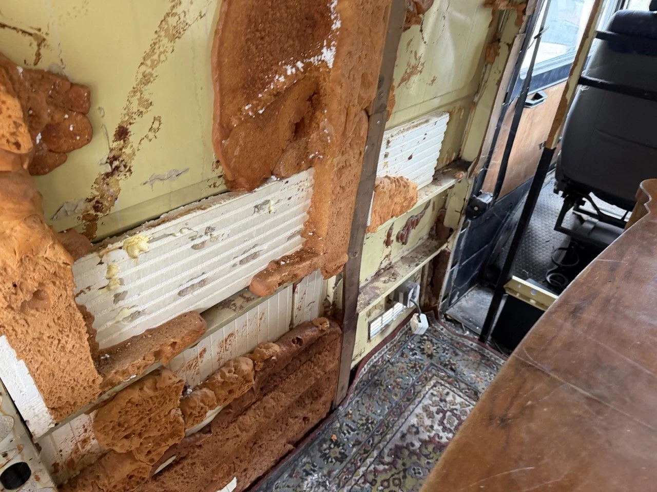 IMG_1334 – grande.jpeg