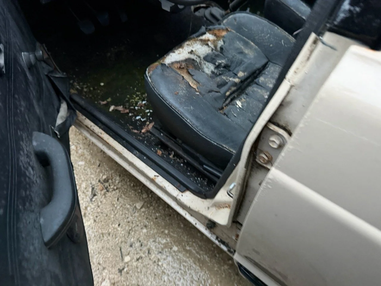 IMG_0233 – grande.jpeg