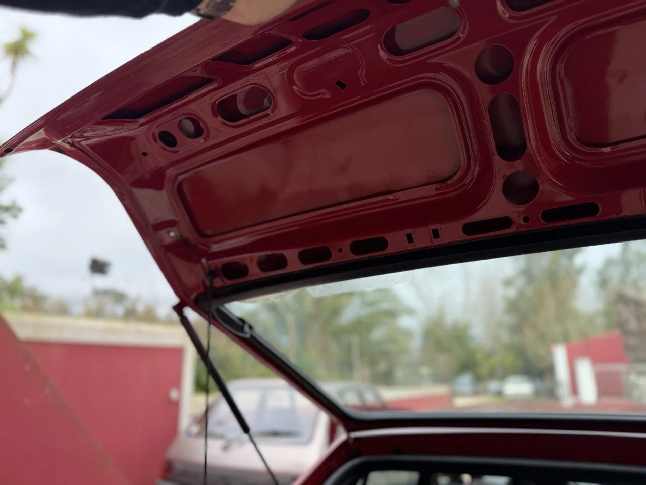 IMG_3492 – grande.jpeg