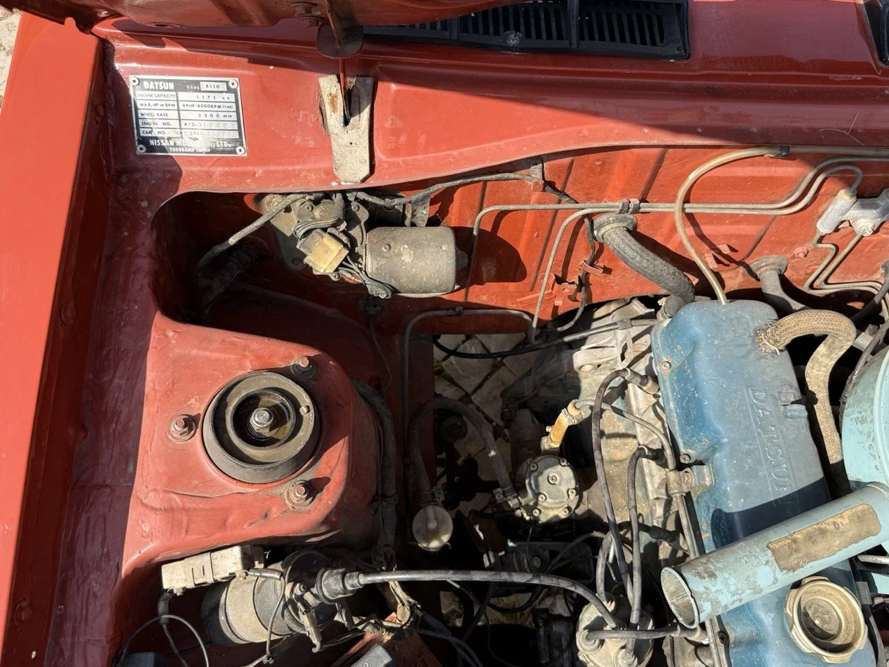 IMG_3615 – grande.jpeg