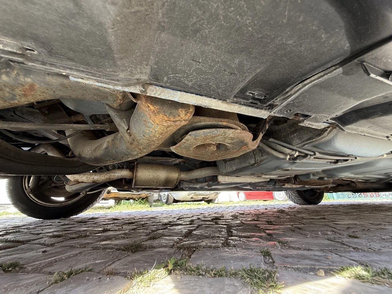 IMG_2513 – grande.jpeg