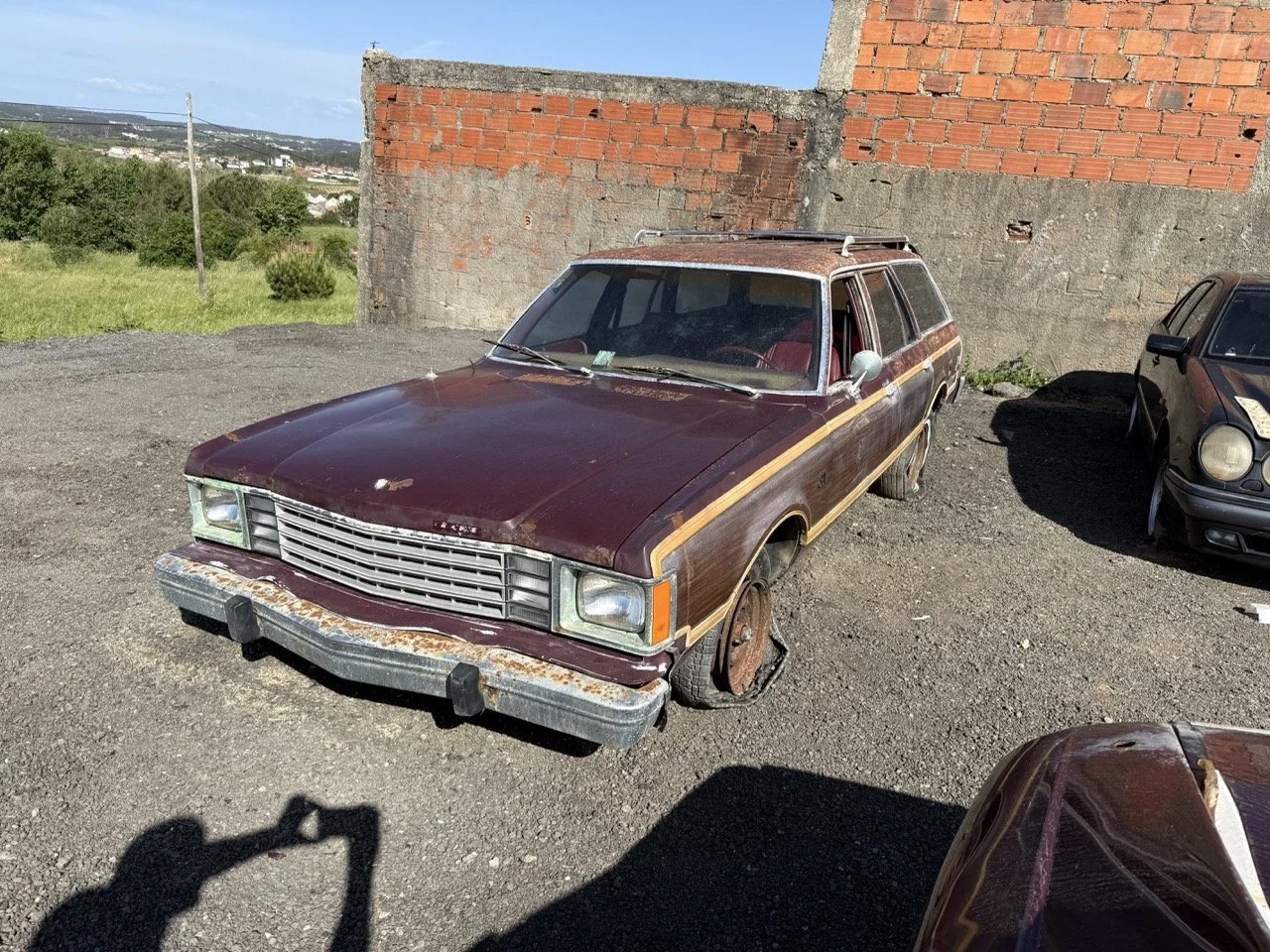 IMG_3003 – grande.jpeg