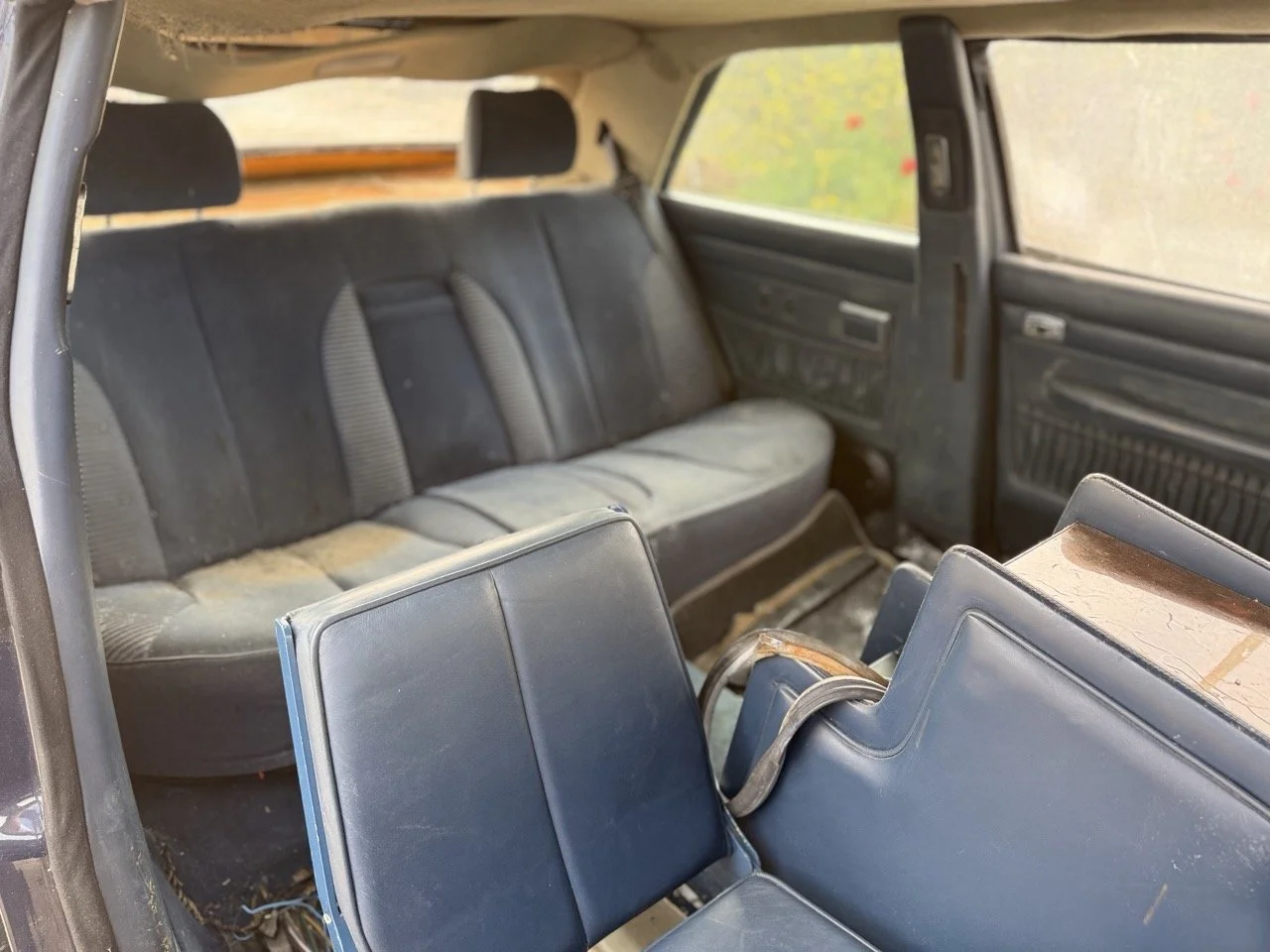 IMG_3373 – grande.jpeg