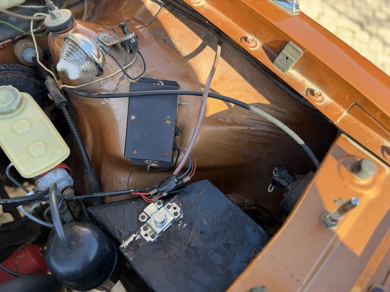 IMG_2398 – grande.jpeg