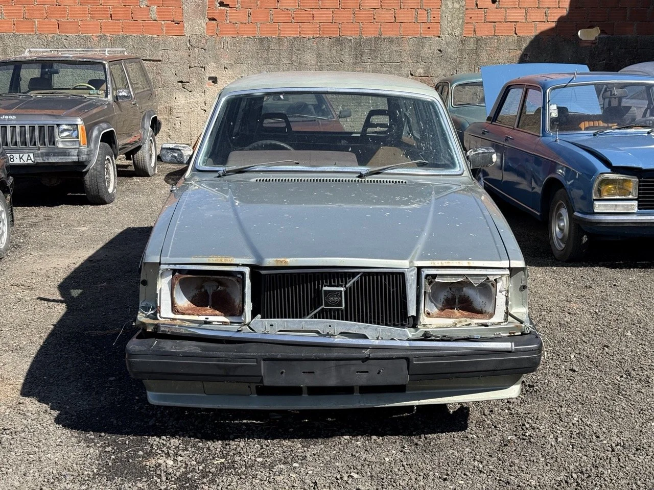 IMG_1146 – grande.jpeg