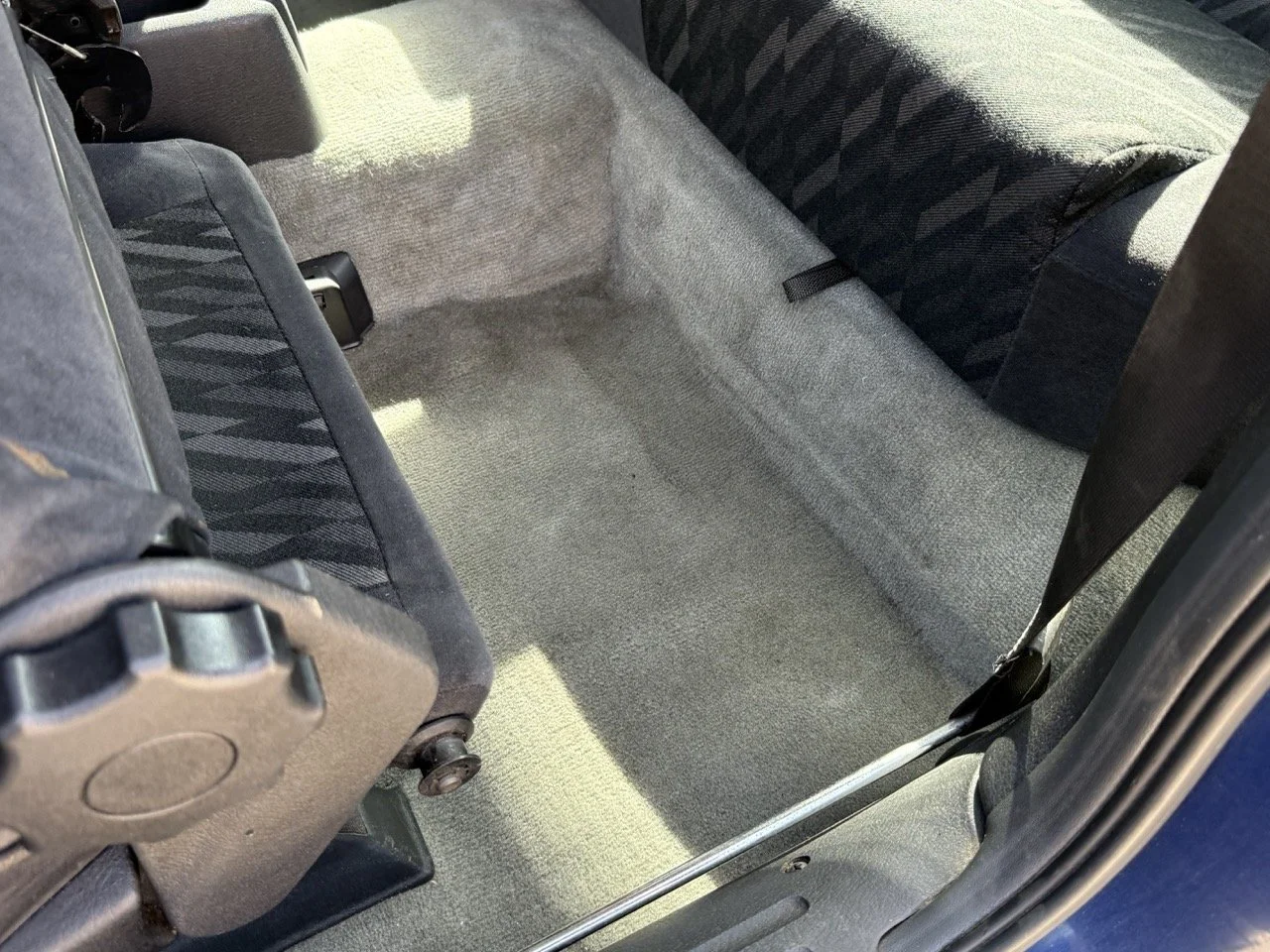 IMG_2447 – grande.jpeg