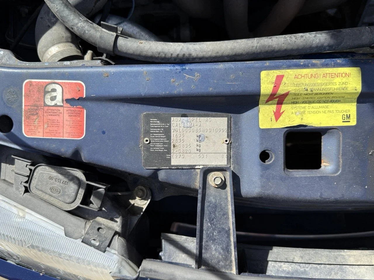 IMG_2435 – grande.jpeg