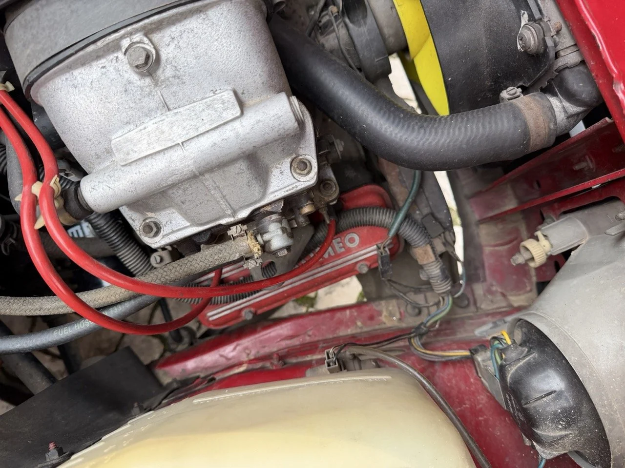 IMG_3484 – grande.jpeg