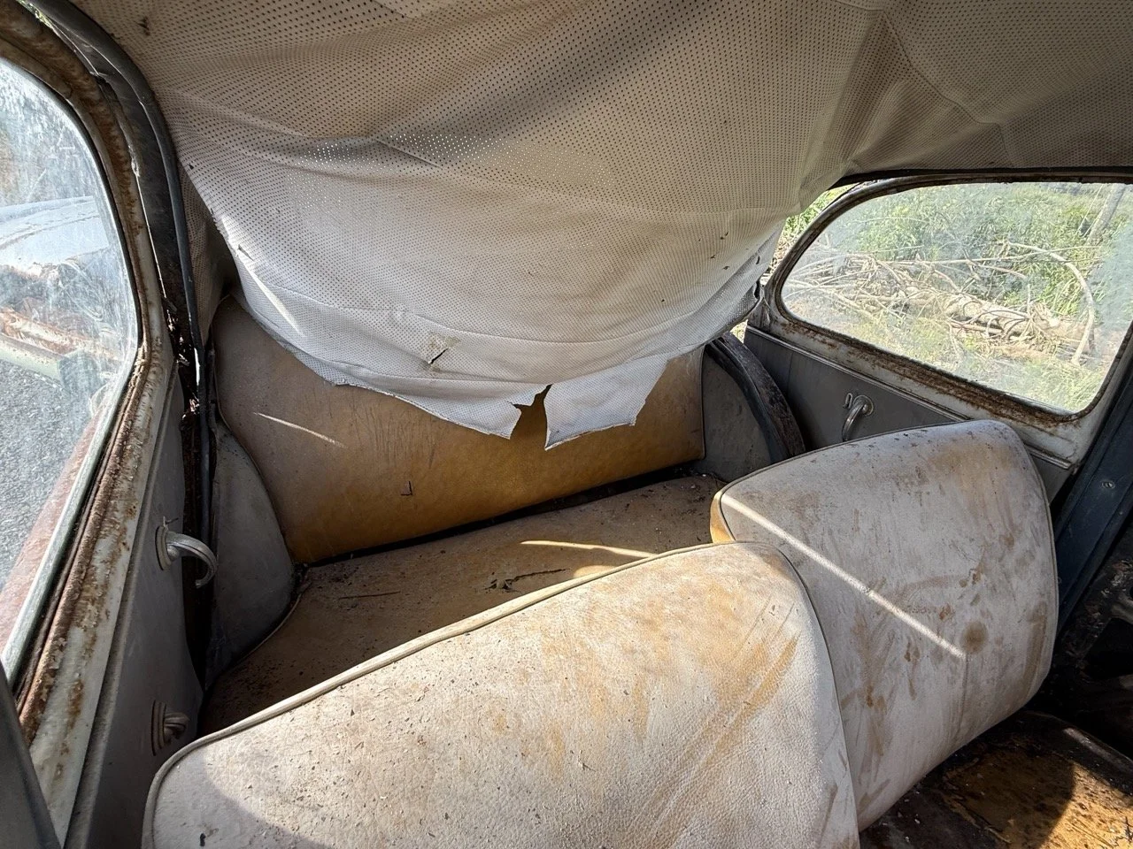 IMG_0403 – grande.jpeg