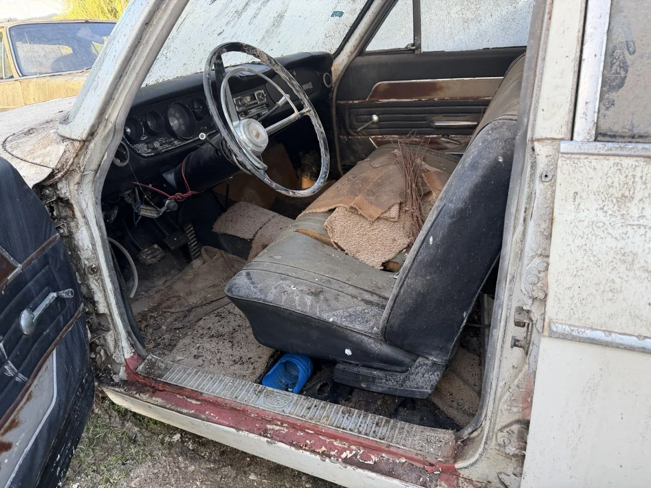 IMG_4079 – grande.jpeg