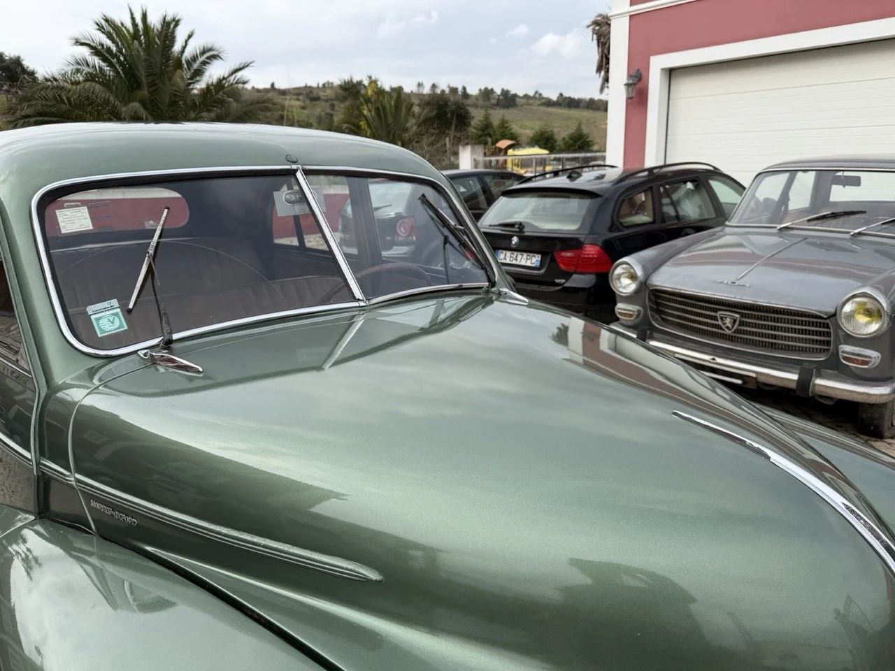 IMG_9849 – grande.jpeg