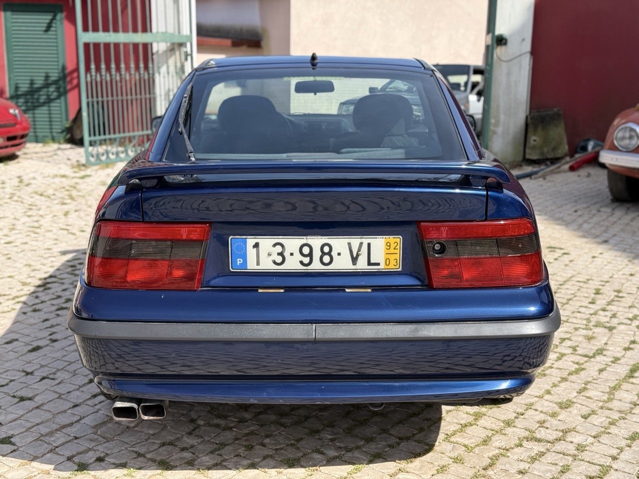 IMG_2390 – grande.jpeg