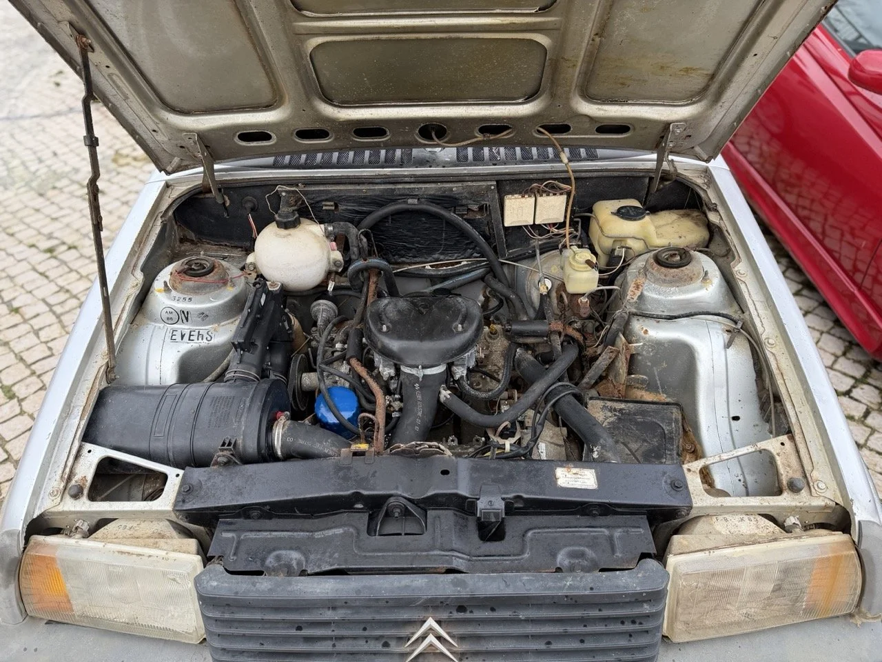 IMG_0518 – grande.jpeg