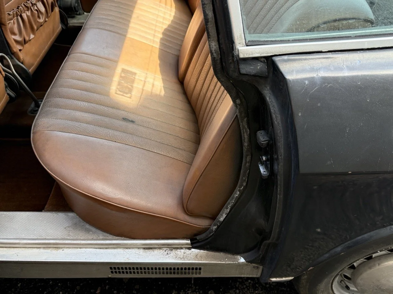 IMG_0586 – grande.jpeg