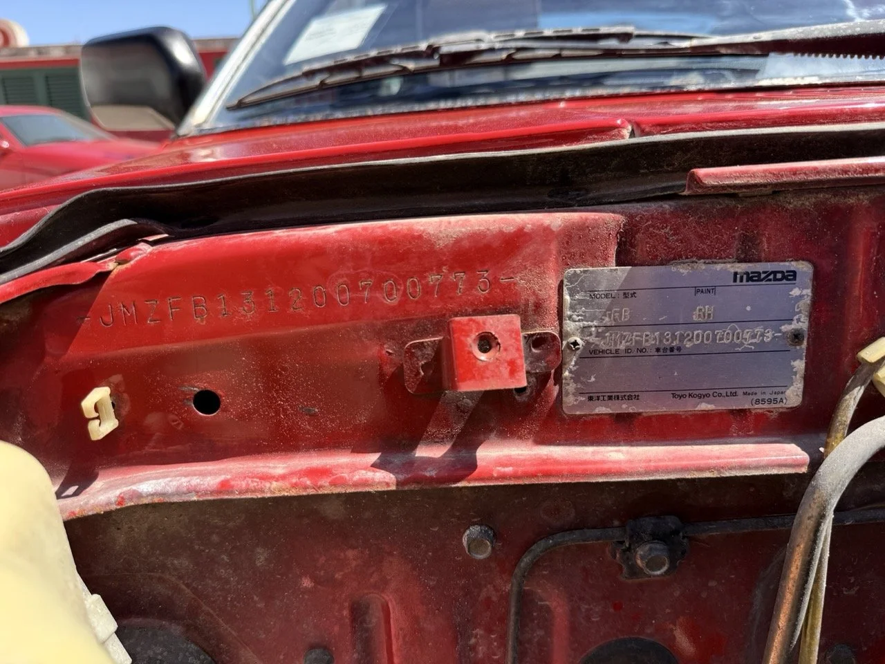 IMG_2046 – grande.jpeg