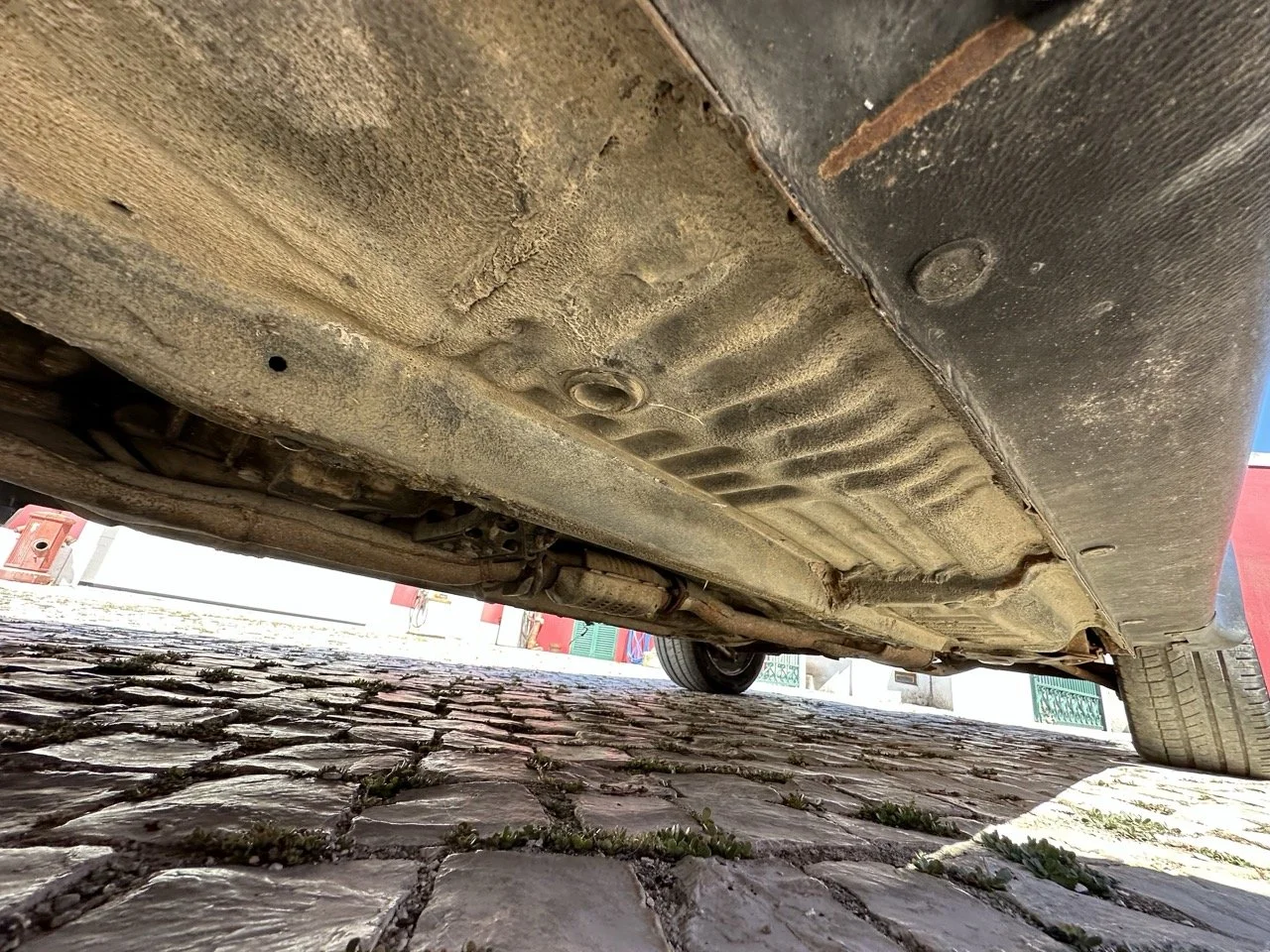 IMG_3122 – grande.jpeg