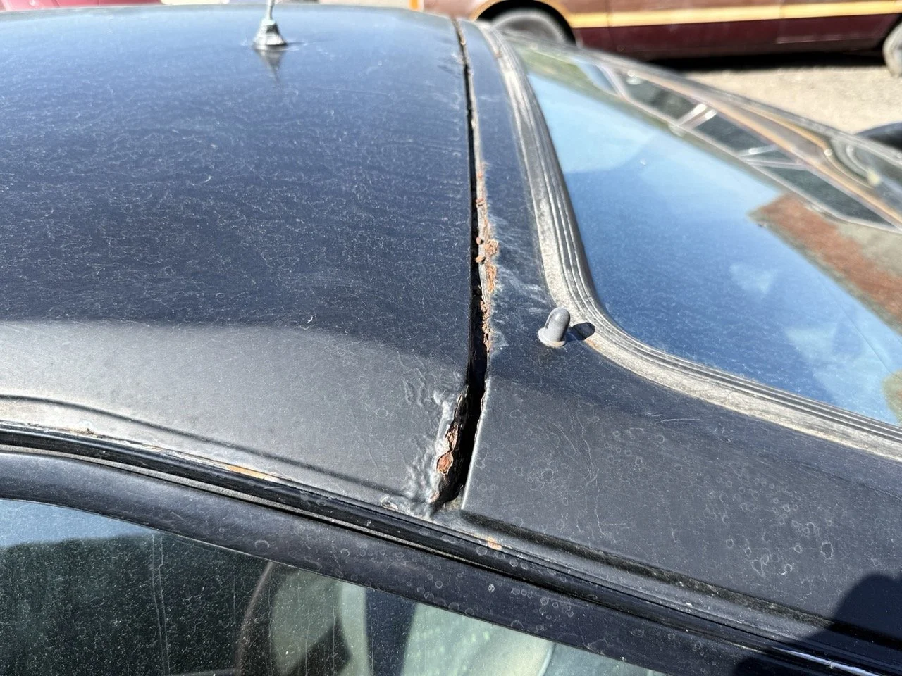 IMG_2928 – grande.jpeg