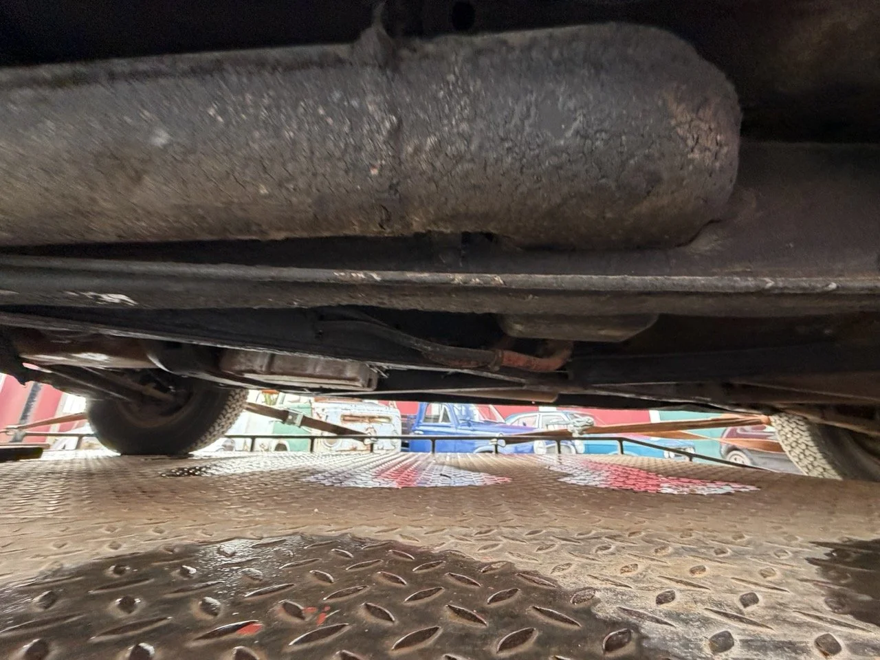 IMG_1773 – grande.jpeg