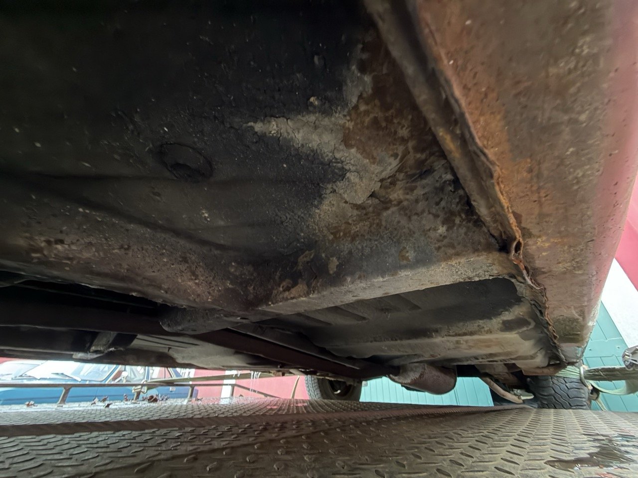 IMG_9014 – grande.jpeg