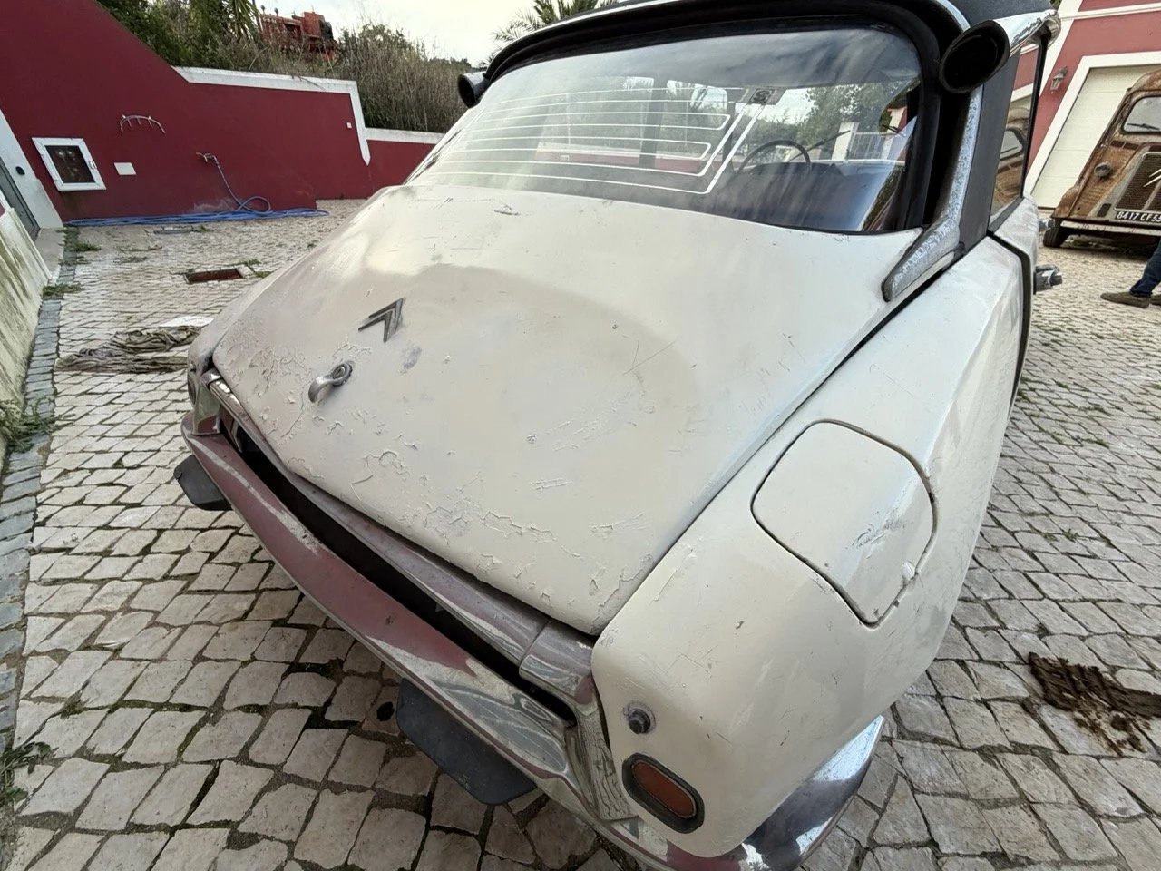 IMG_5993 2 – grande.jpeg